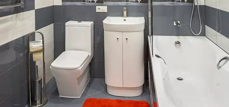 Hansgrohe Shaving Mirror West St. Paul